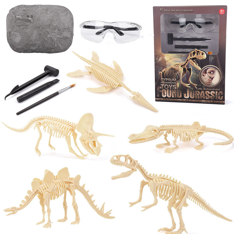 Model Kit For Girls - Kit d'excavation de fossiles de dinosaures