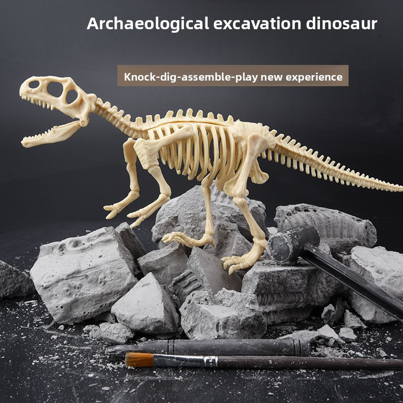Kit d'excavation de fossiles d - Model Kit For Girls avis et prix