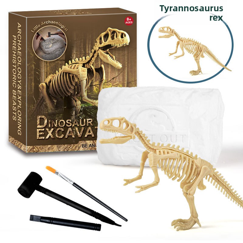 Kit d'excavation de fossiles d - Model Kit For Girls avis et prix